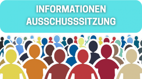Informationen zur Ausschusssitzung vom 12. Jänner 2026